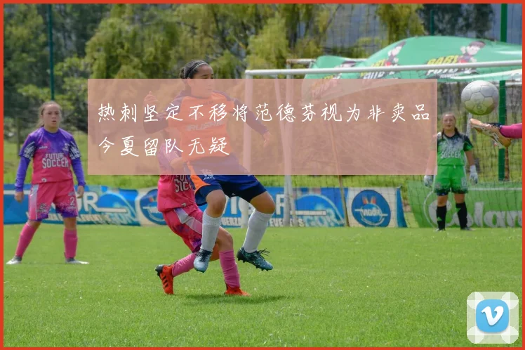 热刺坚定不移将范德芬视为非卖品今夏留队无疑