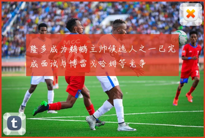 隆多成为鹈鹕主帅候选人之一已完成面试与博雷戈哈姆等竞争